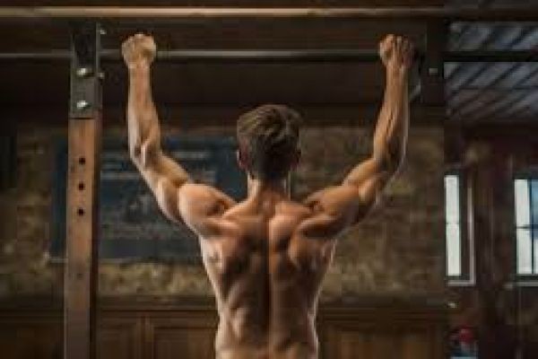 Wellhealth How to Build Muscle Tag​